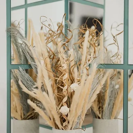 Appartement Cozee - In Inima Brasovului