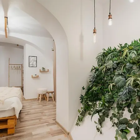 Cozee - In Inima Brasovului Braşov