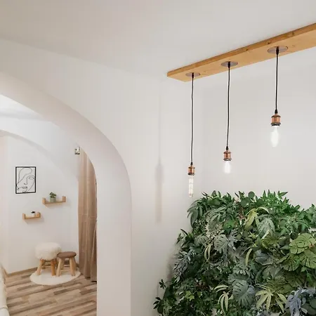 Apartment Cozee - In Inima Brasovului *