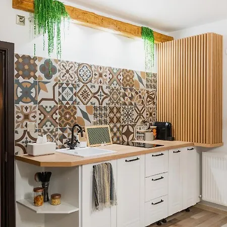 Cozee - In Inima Brasovului