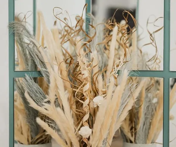 Apartment Cozee - In Inima Brasovului