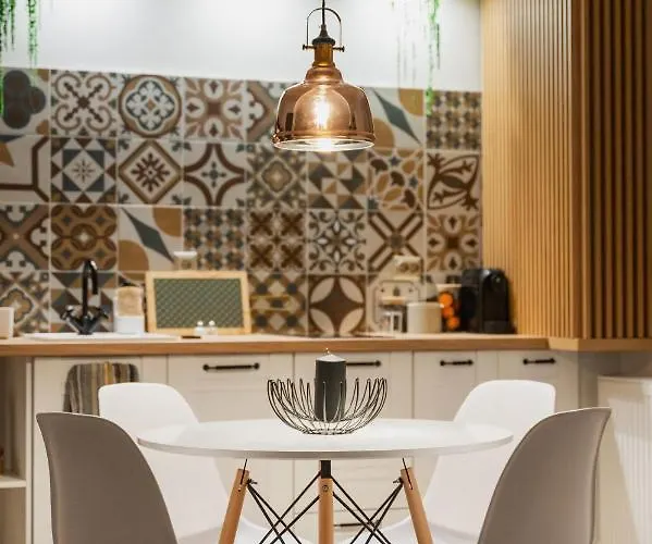 Cozee - In Inima Brasovului *