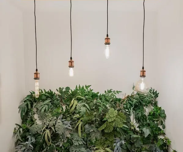 Cozee - In Inima Brasovului Apartment