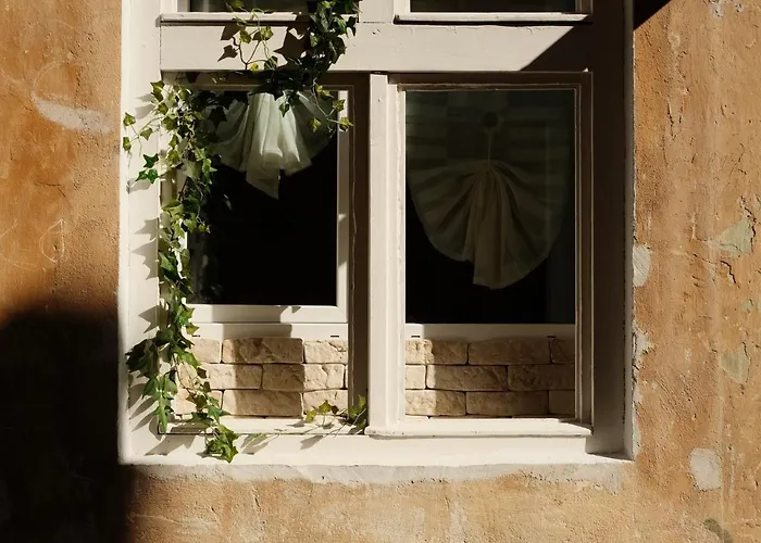 Cozee - In Inima Brasovului * Брашов