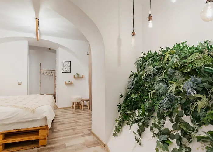 Cozee - In Inima Brasovului Brasov