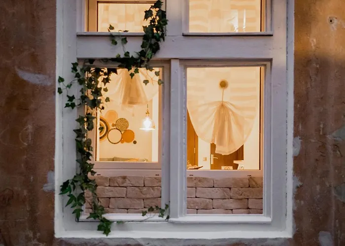 Апартаменти Cozee - In Inima Brasovului *