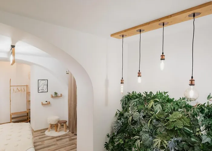 Apartment Cozee - In Inima Brasovului *