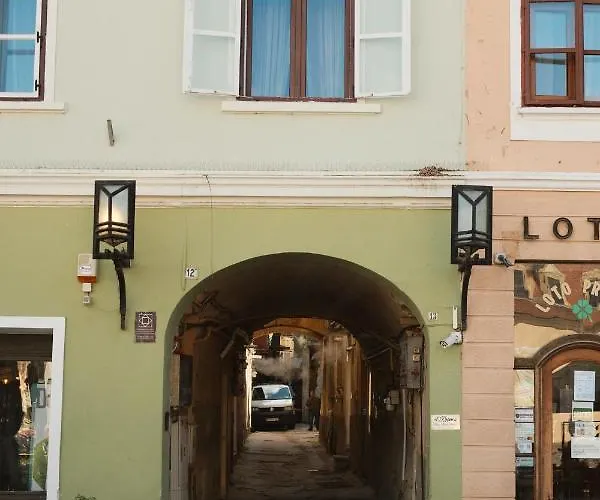 Cozee - In Inima Brasovului *