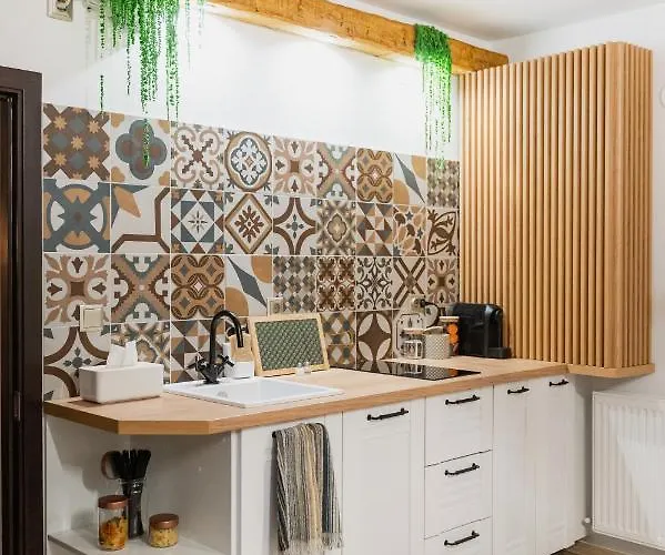 Cozee - In Inima Brasovului