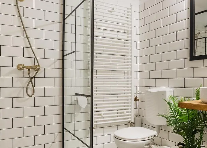 Apartment Cozee - In Inima Brasovului *